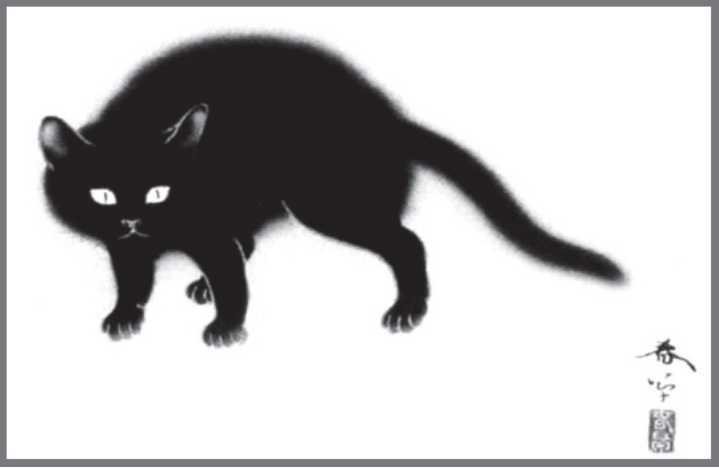 Cat Food | טרילותרפיה